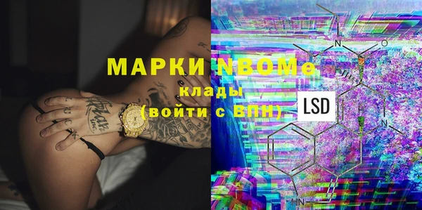 сатива Дмитриев