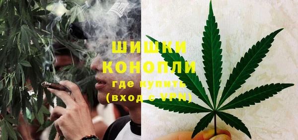 мяу мяу мука Дмитров