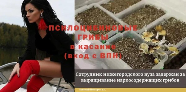 MESCALINE Гусев