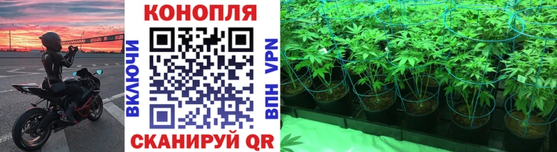 цена наркотик  Рыбинск  Шишки марихуана семена 